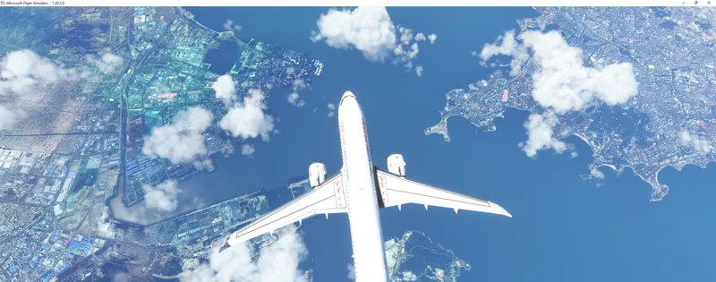 Microsoft Flight Simulator 2022_7_1 14_24_26.png