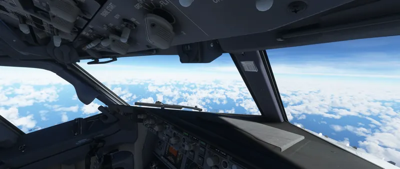 Microsoft Flight Simulator 2022_8_5 22_29_37.png